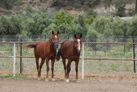 Full Day: Horse Safari in Ghost Town from Fethiye and Oludeniz Group Tour - 2