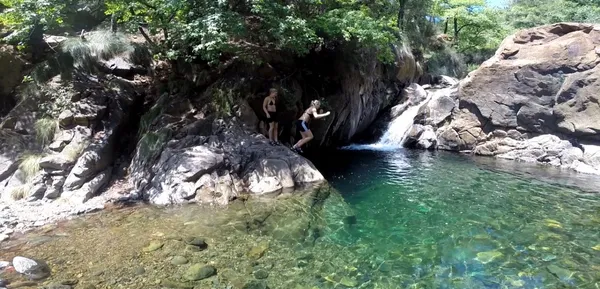 Full Day: Swimming Hole Safari(Seat On coach)