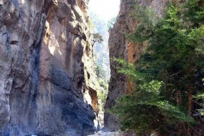 FULL DAY : SAMARIA GORGE (Seat on Coach)