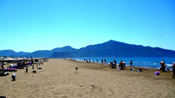 Full Day: Dalyan Iztuzu Beach Mud Baths Day Trip from Bodrum (Seat on Coach) 