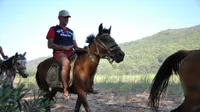 Half Day: Horse Riding in Bodrum Forest Group Tour - 2