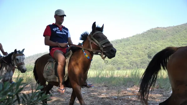 Half Day: Horse Riding in Bodrum Forest Group Tour