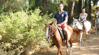Half Day: Horse Riding in Bodrum Forest Group Tour - 4