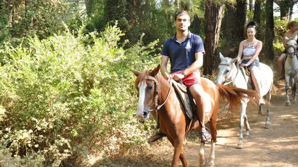 Half Day: Horse Riding in Bodrum Forest Group Tour