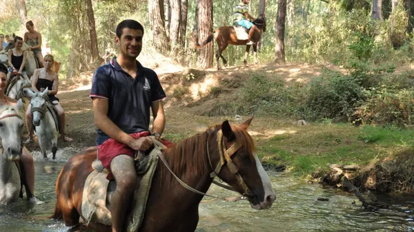 Half Day: Horse Riding in Bodrum Forest Group Tour
