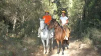 Half Day: Horse Riding in Bodrum Forest Group Tour - 9