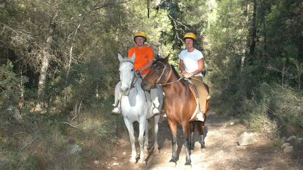 Half Day: Horse Riding in Bodrum Forest Group Tour