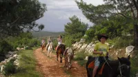 Full Day: Marmaris Horse Safari – Horse Riding Adventure in Nature - 4