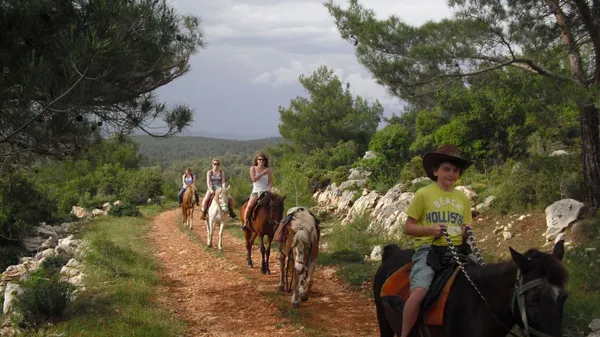 Full Day: Marmaris Horse Safari – Horse Riding Adventure in Nature
