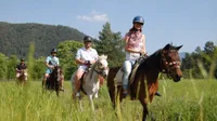 Full Day: Marmaris Horse Safari – Horse Riding Adventure in Nature - 5