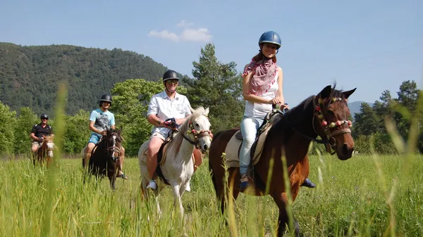 Full Day: Marmaris Horse Safari – Horse Riding Adventure in Nature