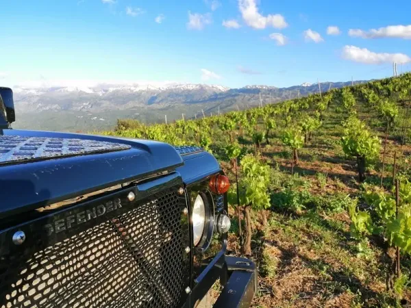 Chania Premium Sunset Safari Tour & Wine Tasting