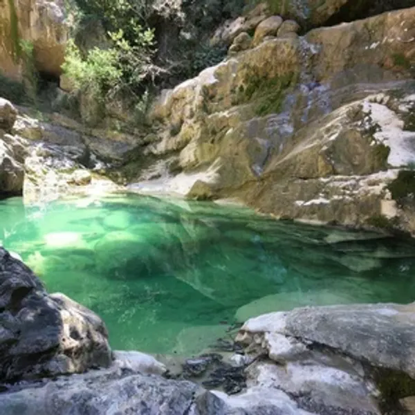 Full Day: Swimming Hole Safari(Seat On coach)