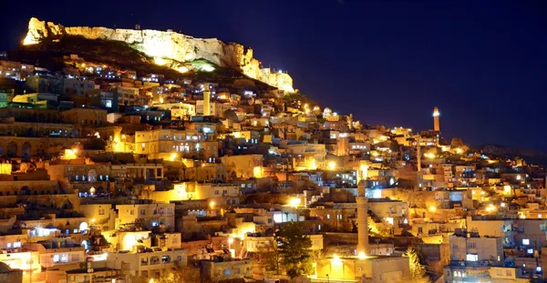 14 Days Eastern Explorer Tour (Istanbul, Trabzon, Artvin, Erzurum, Kars, Van, Batman, Mardin, Diyarbakir,Sanliurfa, Gaziantep) (Seat In Coach)