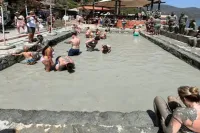 Full Day: Dalyan Iztuzu Beach Mud Baths Day Trip from Bodrum (Seat on Coach)  - 3