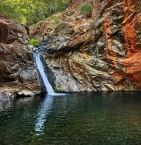 Full Day: Swimming Hole Safari(Seat On coach) - 4