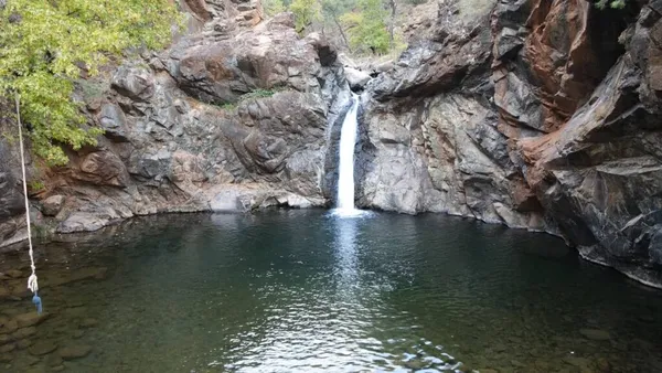 Full Day: Swimming Hole Safari(Seat On coach)